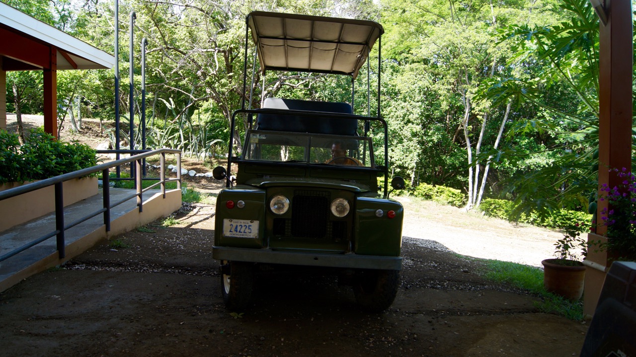 Palo-Verde-Nationalpark-Vogel - 58