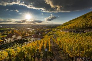 Sächsische Weinstrasse: Goldener Oktober auf Wackerbarth